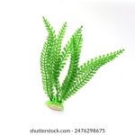 爱情公寓全集观看:重温经典搞笑瞬间与感人时刻 s2i9x5