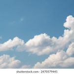 相泽南垃圾屋:揭开隐藏在废弃物背后的故事 lsxr7pb