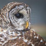 看剧窝:追剧必备,畅享影视盛宴的最佳选择 w5vxim